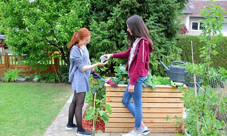 DIY Hochbeet aus Holz