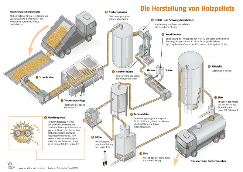 Die Herstellung von Holzpellets (Grafik)